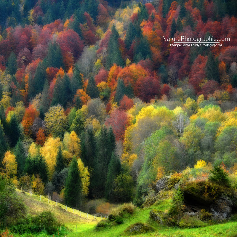 Palette-Nature