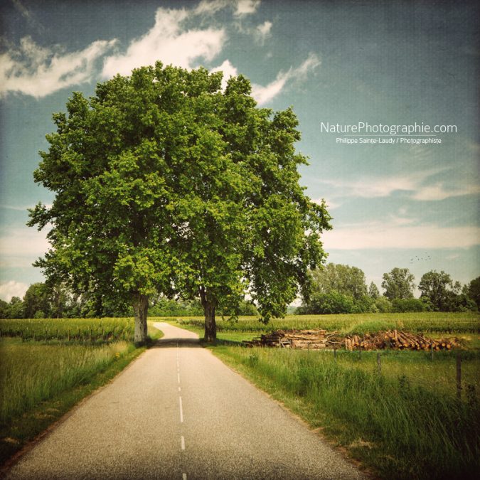 Route de Campagne
