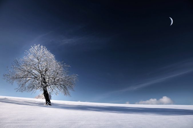 Bleu-comme-Neige