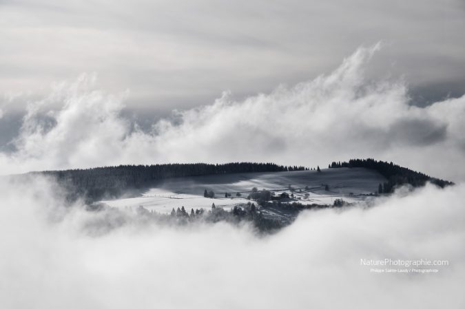 Au Milieu de Nulle Part