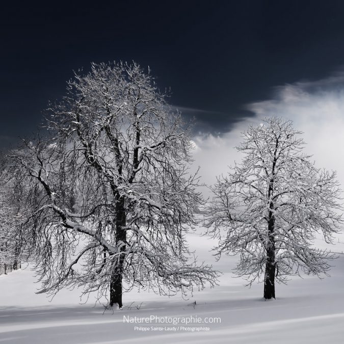 Blanche Nature