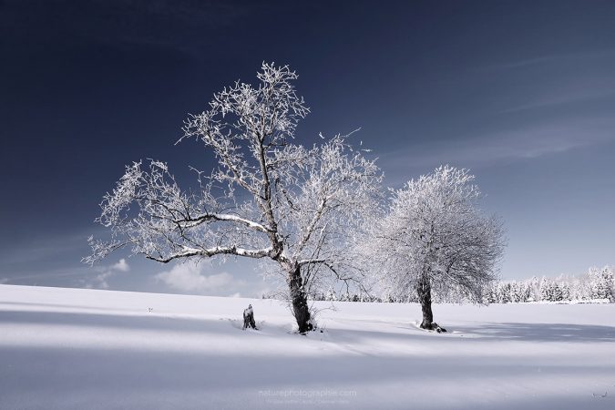 Duo-Blanc