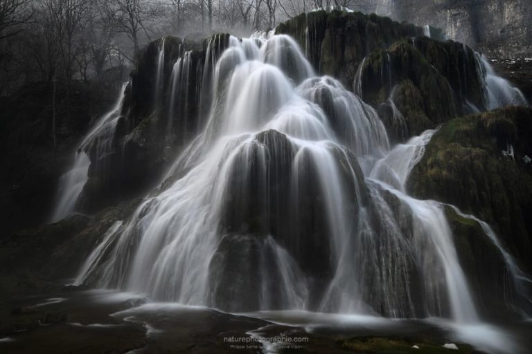 Ode-aux-Elfes