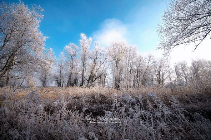 Bleu Hiver