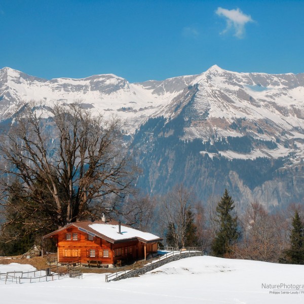 Châlet Suisse
