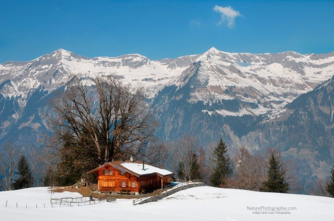 Châlet Suisse