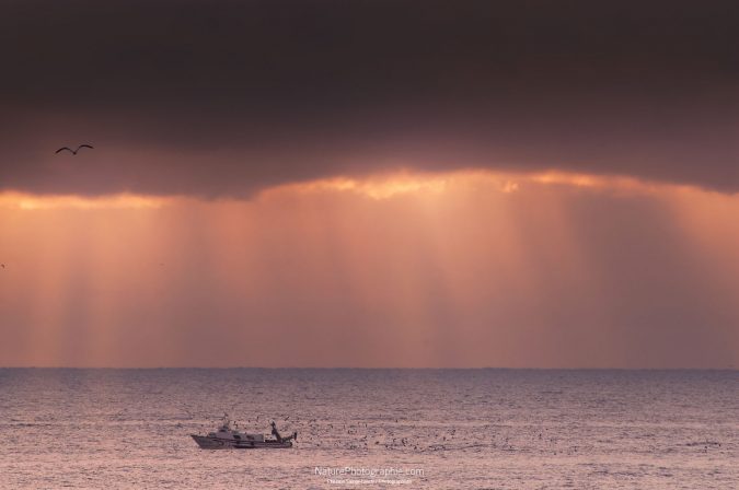 DSC_30961