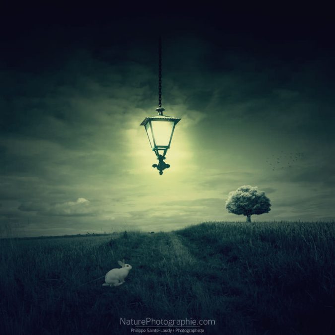 Suivez-le-Lapin-Blanc