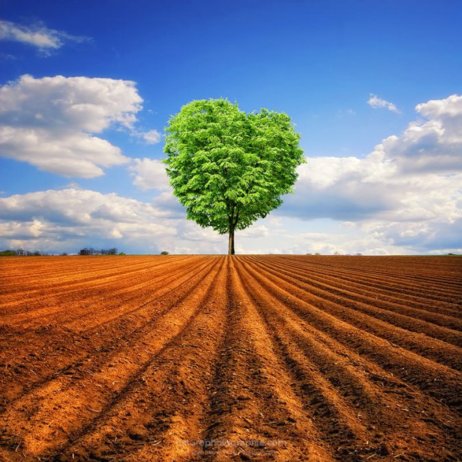 Tendre-Nature