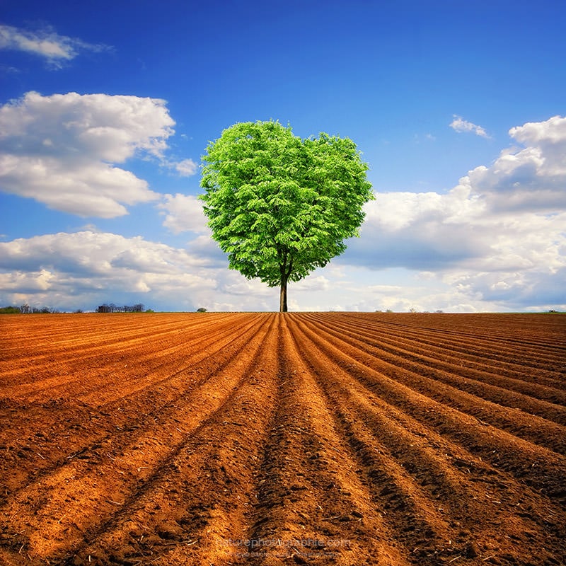 Tendre-Nature