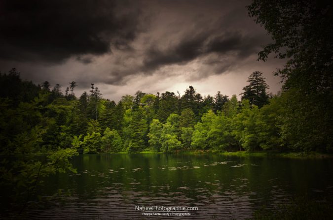Vert de Gris