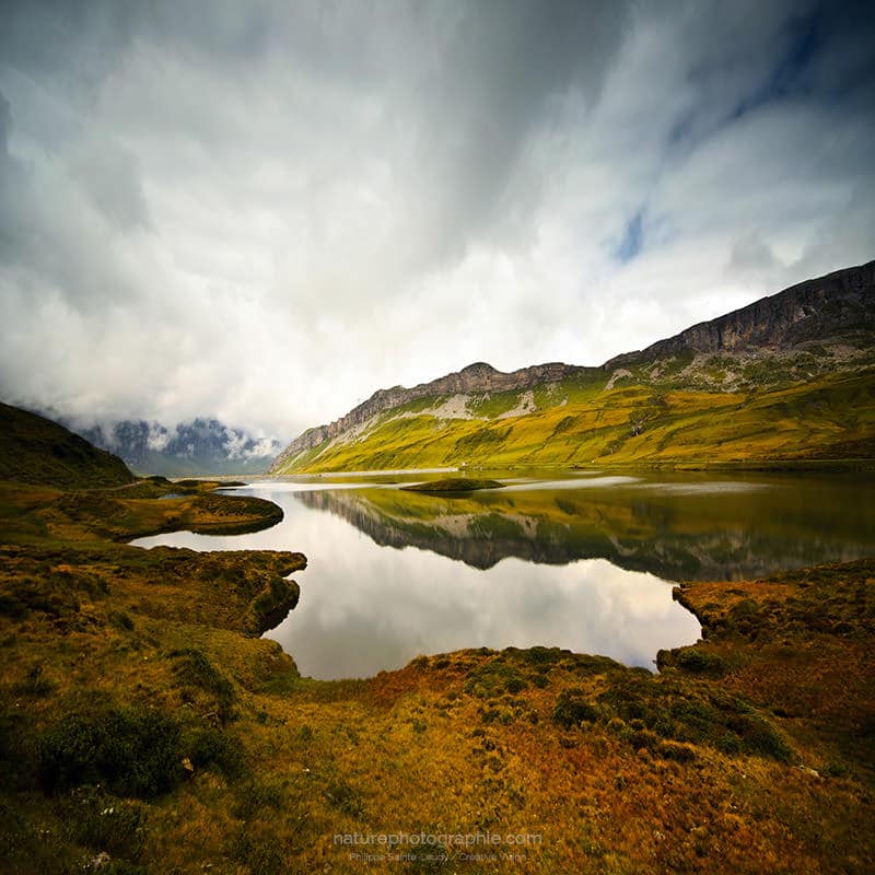 Tannensee