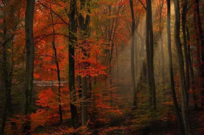 Poésie des couleurs