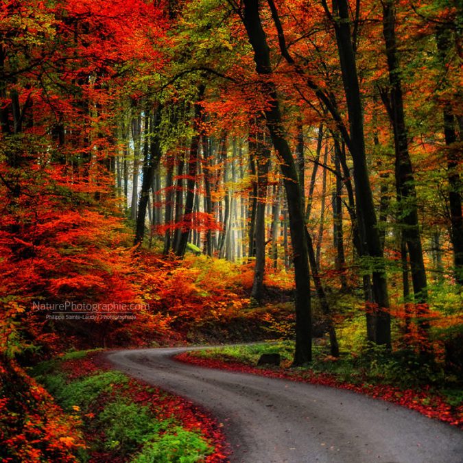 Route-Coloré
