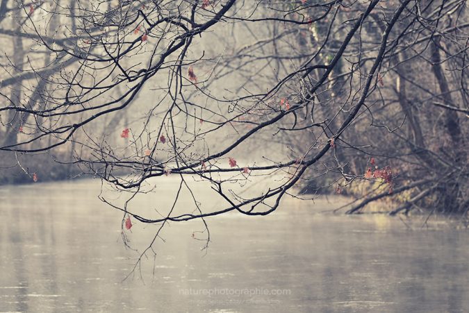 Photos-hiver