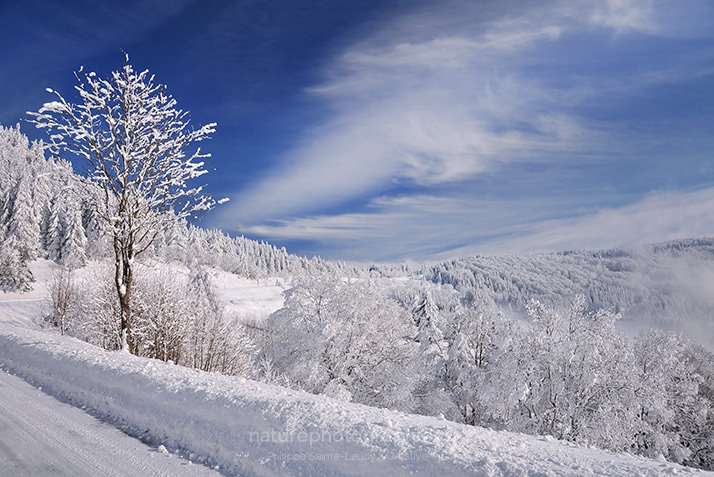 Sur-la-route-du-Donon