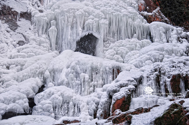 Monde de Glace