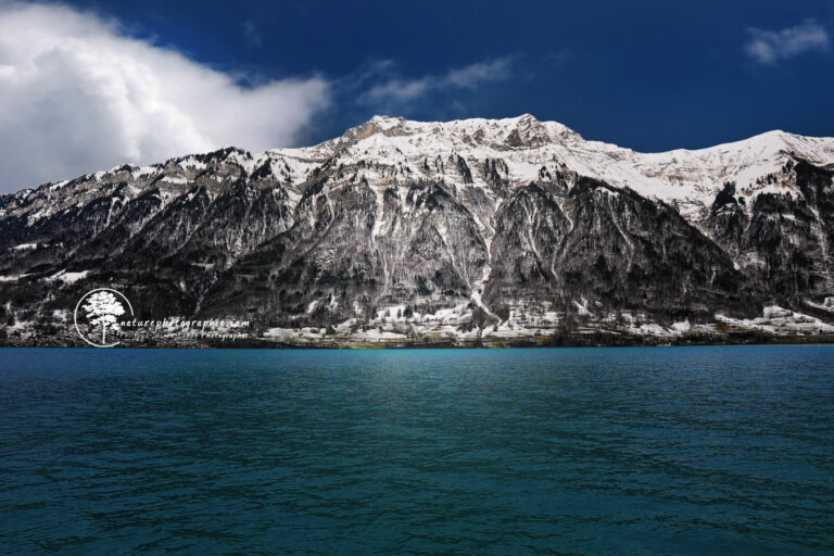 Lac de Brienz