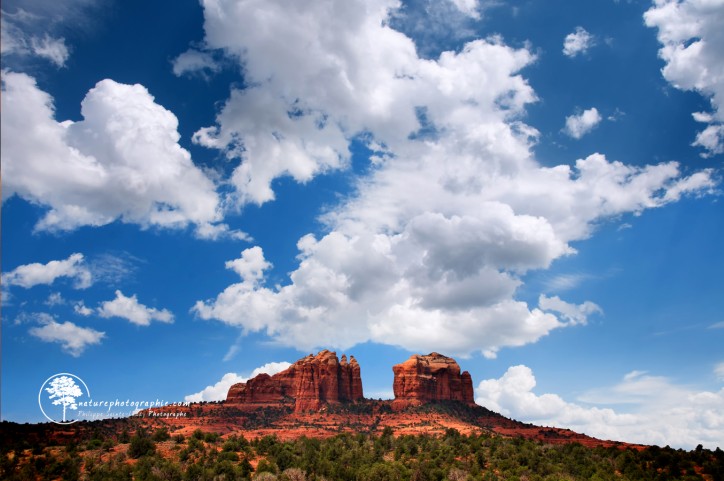 Vue sur Cathedral Rock