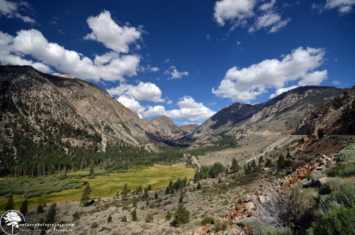 En route vers Yosemite