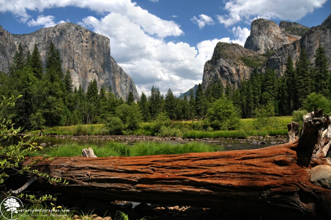 La Vallée de Yosemite