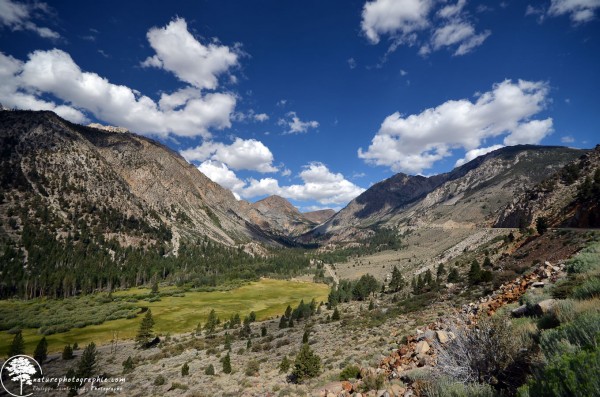 En route vers Yosemite