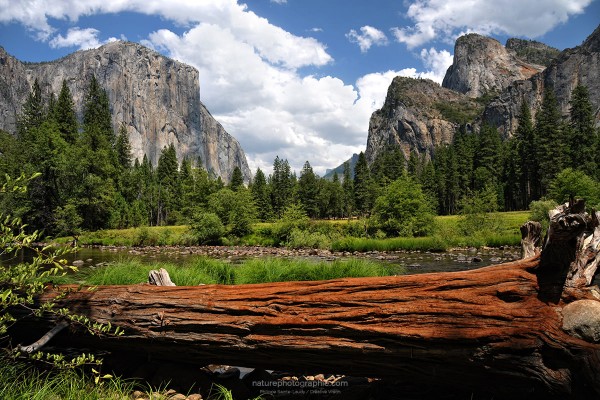 Vallée-de-Yosemite