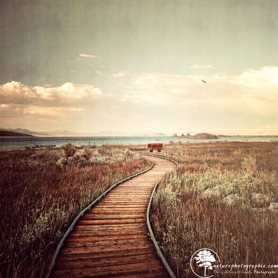 Mono-Lake-unplugged