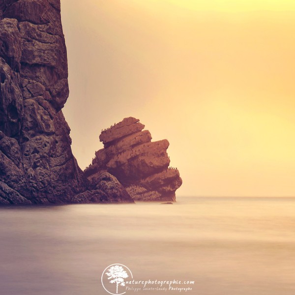 Morro Face Morro Bay, California