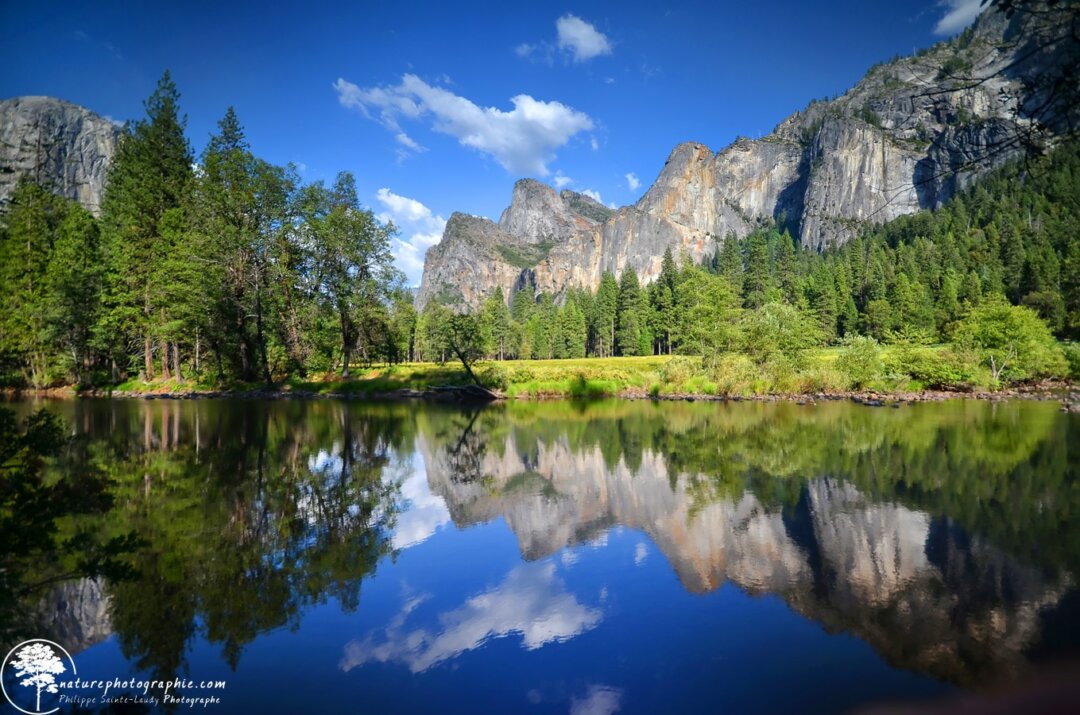 Yosemite Reflection