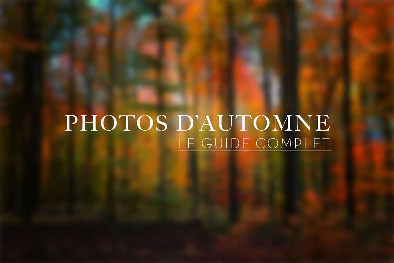 Photos d’automne – le guide complet