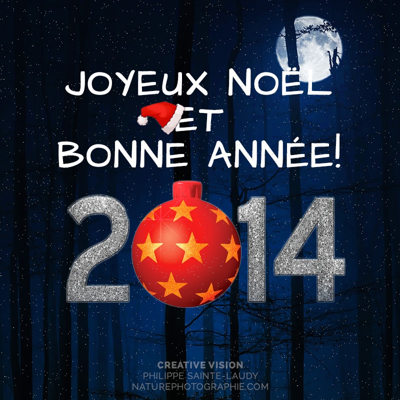 Bonne année 2014