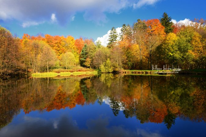 Miroir aux couleurs d’automne