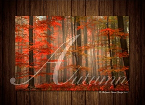 ebook-Automne