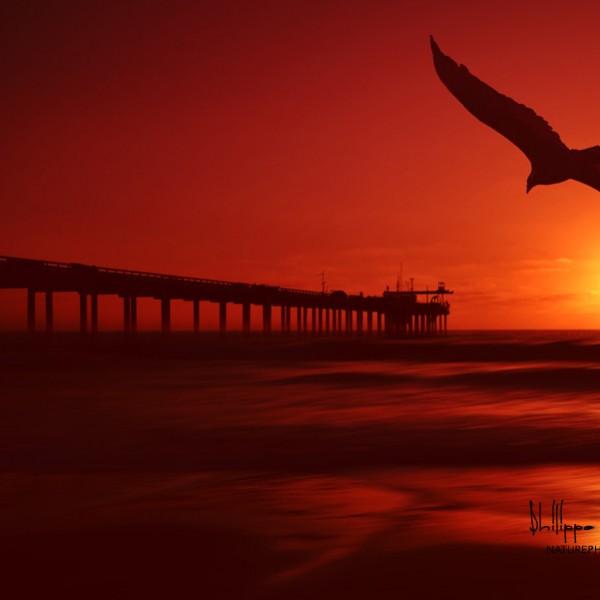 Code-Vol Rouge Code: Vol Rouge