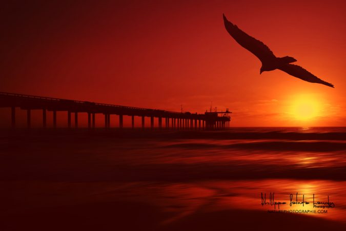 Code-Vol-Rouge