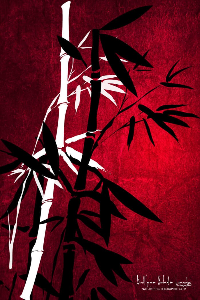 Bamboo-Style