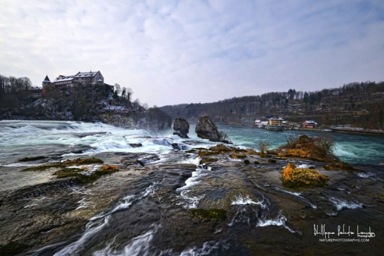 Chutes du Rhin
