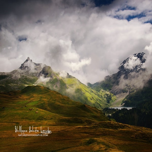 Beauté sauvage Montagnes Suisse