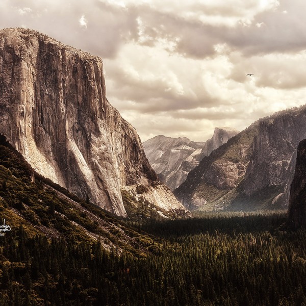 Yosemite héritage La vallée de yosemite