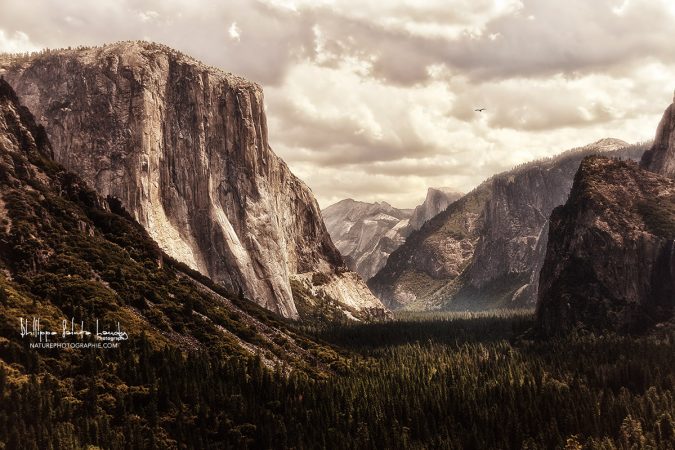 Yosemite Héritage