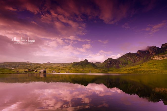 Beyond-The-Purple-Sky