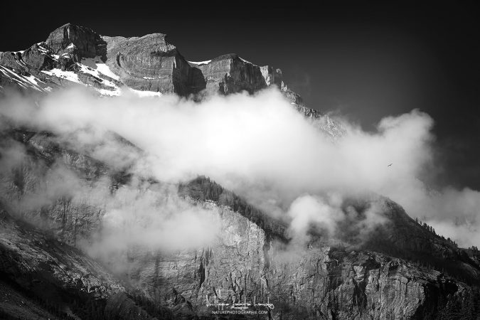 Souffle froid