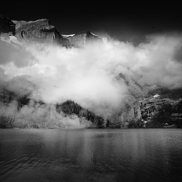 Black Beauty Switzerland