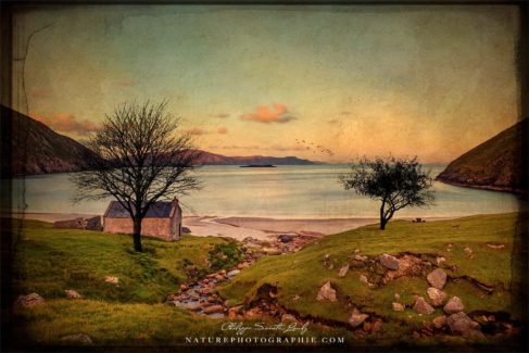 Keem Bay Imaginary