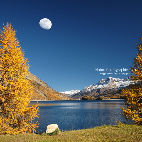 Lune d’Automne