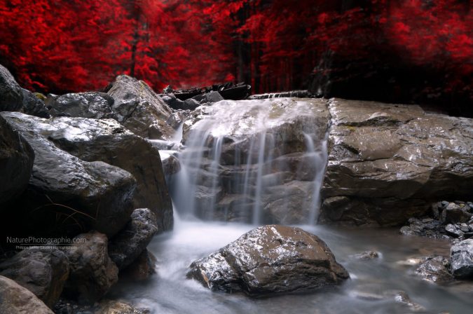 Red Vision