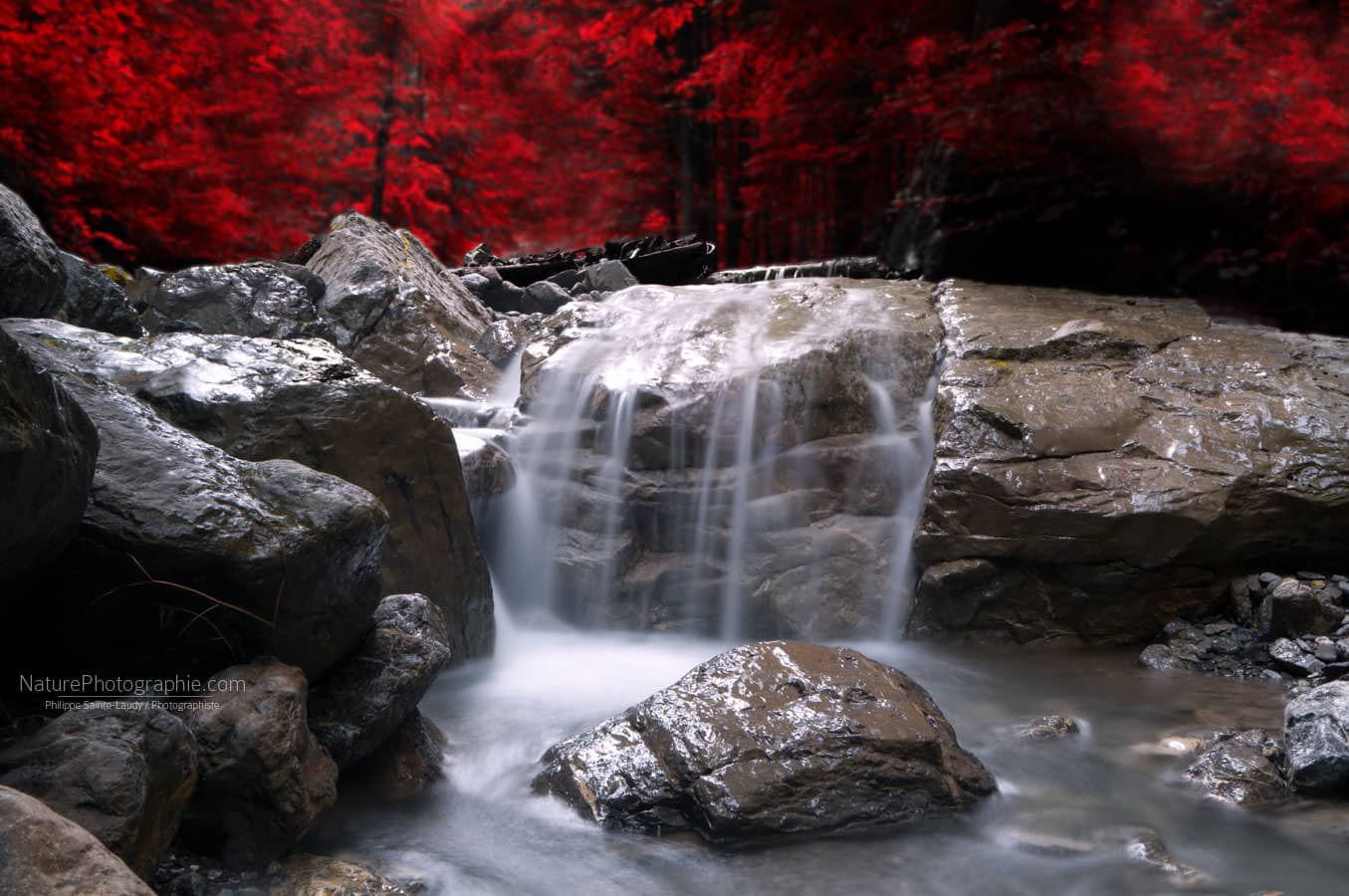 Red Vision