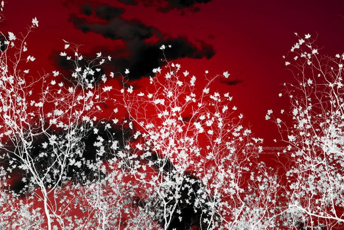 Ciel rouge d’automne