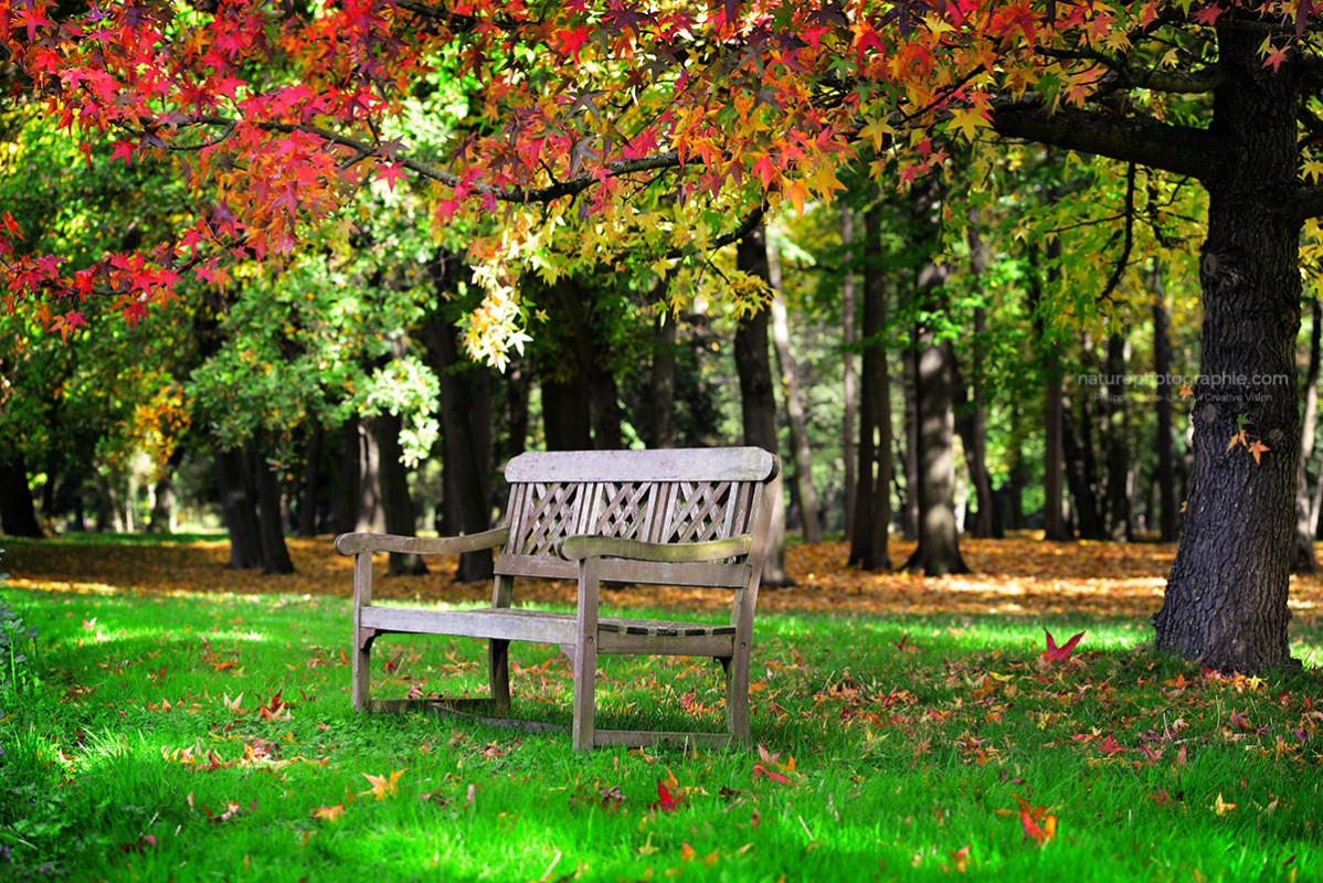 Un banc au soleil